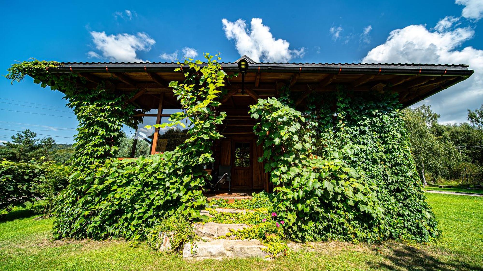 Wapienne Domek Sekowa Exterior foto